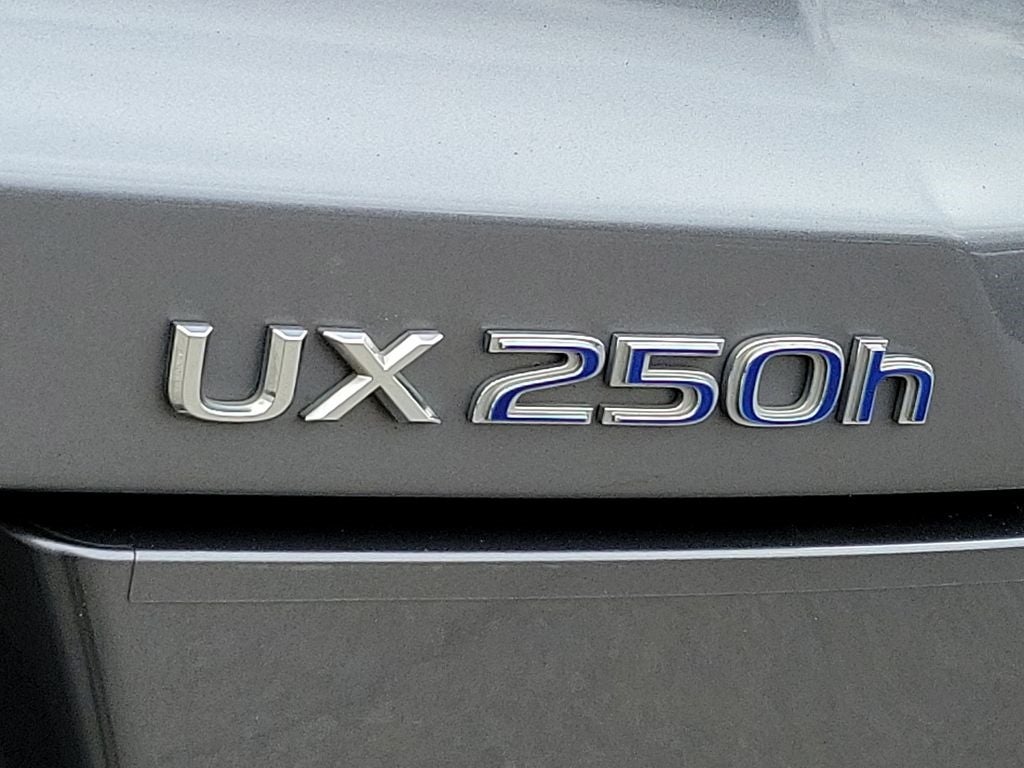 2021 Lexus UX 250h F SPORT 250h F SPORT Premium Package